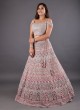 Heavy Embroidered Net Shaded Lehenga Choli